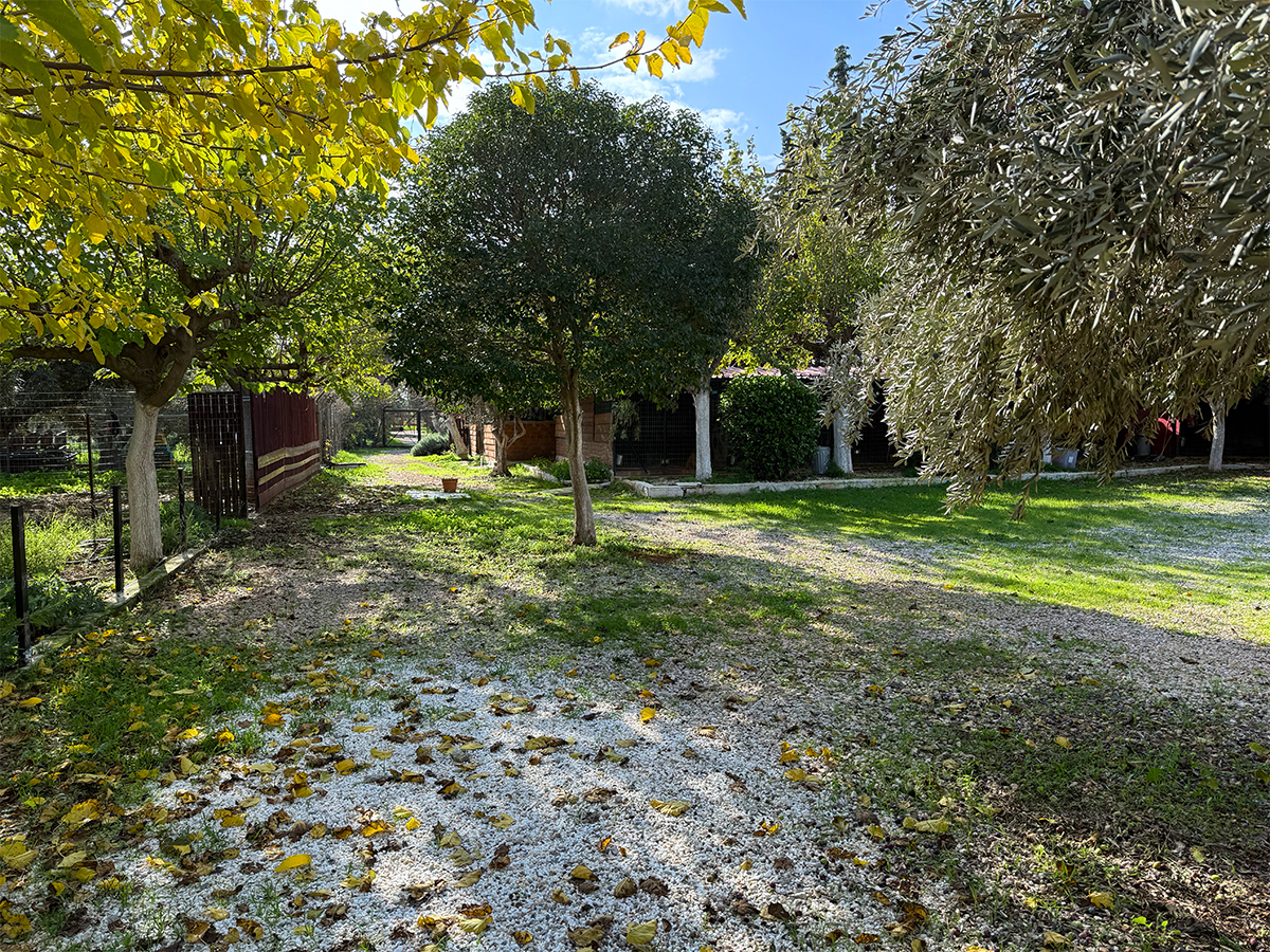 zoo kennel photo gallery